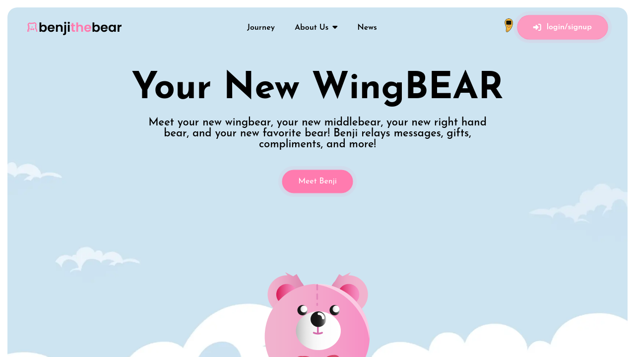 Benji the Bear - Image 1